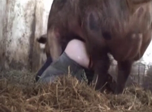 Human hole for a sexed-up animal