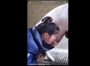 Pig blowjob video with a Chinese hottie sucking