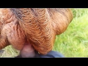 Thumb 6
