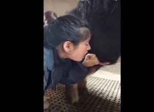 Chinese hottie sucking off a pig's nice dick