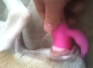 Fat older gal gets her vagina licked by a doggo