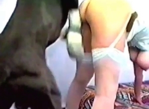 Dog hardly banged a juicy crack