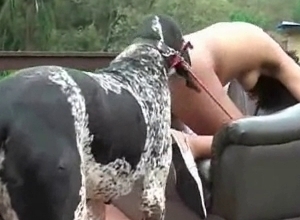 The nastiest bestiality with horses and dogs