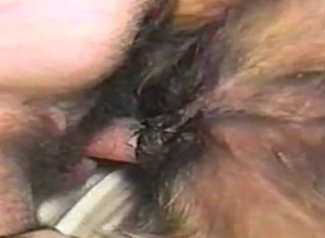 Dog and female fuck in the missionary pose