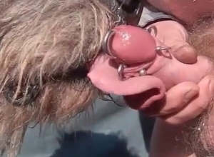 Dog licks and sucks a pierced dick