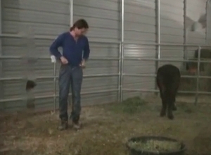 Barn bestiality action with a sexy animal