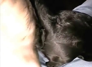 Hard dick for a lovely trained doggy
