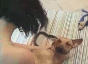 Shocked brunette and her bestiality sex