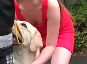 Cur knows how to fuck in a proper way