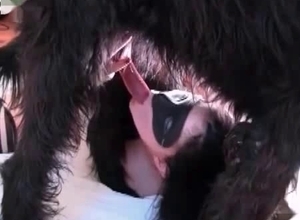 Dog gives an awesome vaginal creampie