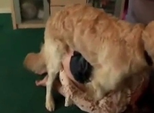 Snatch licked and sucked by dog