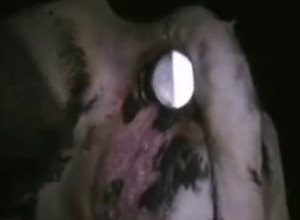 Glowing dildo in a tight anus of a doggy