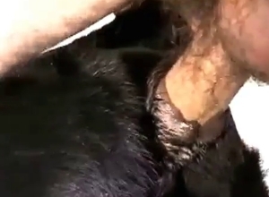 Nasty anal sex with a cute doggy