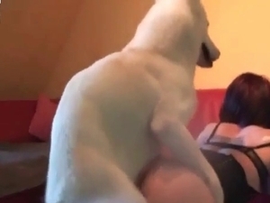 Shiny doggy fucks me hard