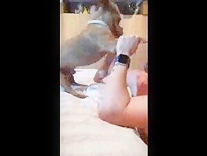 Swallow dog knot