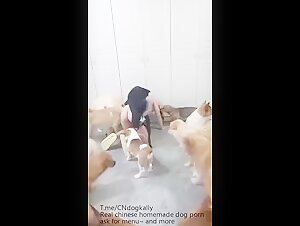 real asian homemade dog gangbang sex