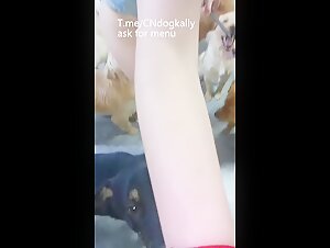 amateur slut woman dog sex party