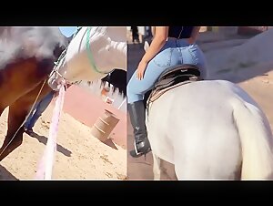 Stud with his owner!!! Awesome|