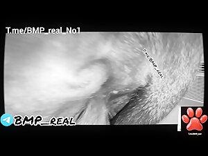 Thumb 6