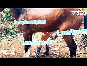 Thumb 9